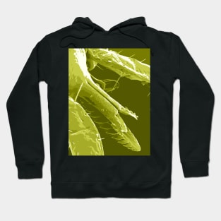 Alien Scary Sci fi Creature Bug Fangs Hoodie